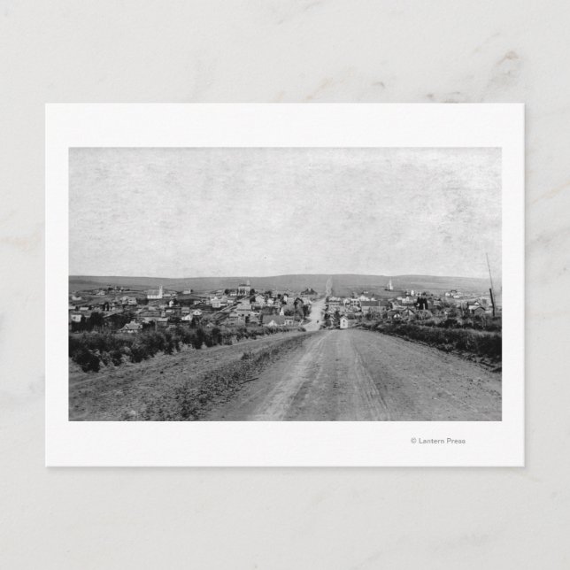 Cartão Postal Wasco, Oregon Birds Ver Fotografia (Frente)