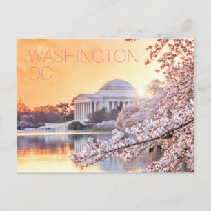 Cartão Postal Washington DC Jefferson Memorial Cherry Blossoms