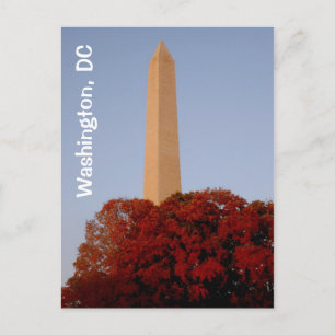 Cartão Postal Washington, DC:  Monumento a Washington em outono
