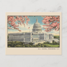 Washington DC Postcard US Capitol Cherry Blossoms