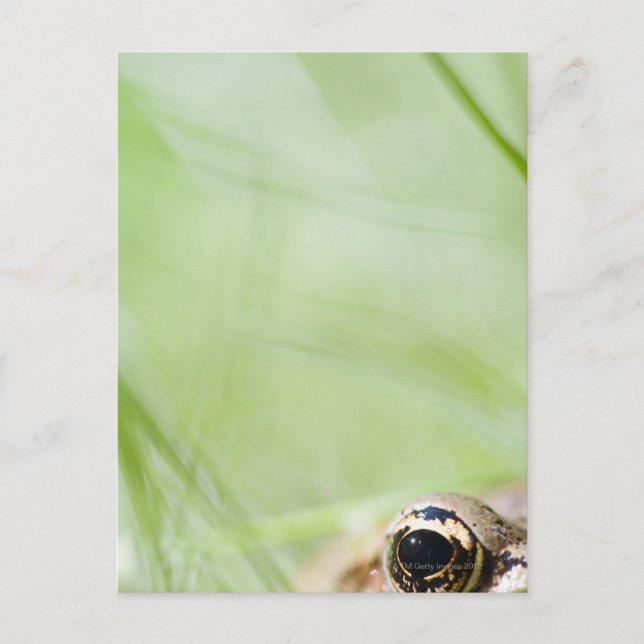 Cartão Postal Washington, EUA (Frente)