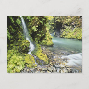 Cartão Postal Washington, Parque Nacional Olímpico, Sazonal