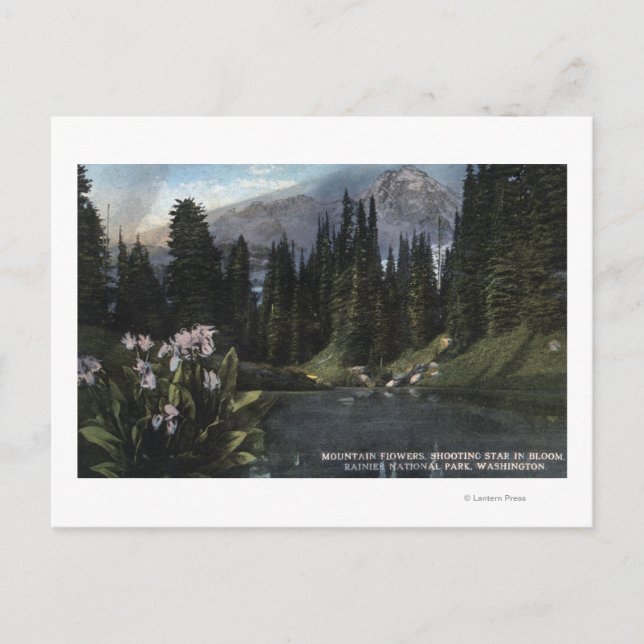 Cartão Postal Washington - Rainier National Park, Atirando Sta (Frente)