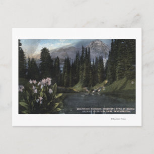 Cartão Postal Washington - Rainier National Park, Atirando Sta