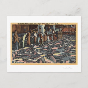 Cartão Postal Washington - Visão Interior de um Salmão