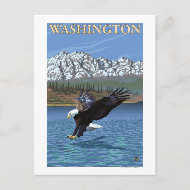 Cartão Postal WashingtonDiving Eagle (Frente)