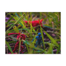 Cartão postal Watch Your Back