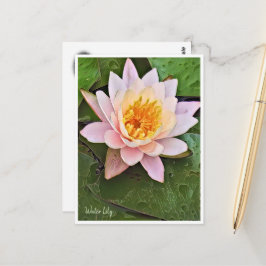 Cartão Postal Water Lily ポストカード