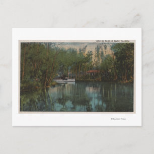 Cartão Postal Water View of Tomoka River & Marsh, Flórida