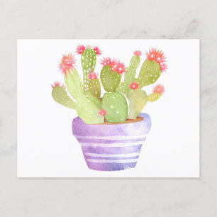 Cartão Postal Watercolor Blooming Cactus Plant no Pote Flor