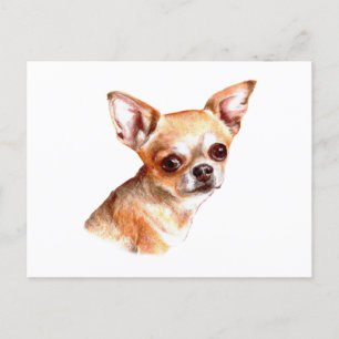 Cartão Postal Watercolor Chihuahua