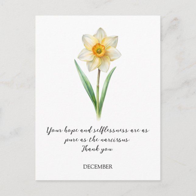 CARTÃO POSTAL WATERCOLOR DECEMBER NARCISUSS BIRTH FLOWER (Frente)