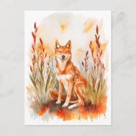 Cartão Postal Watercolor Dingo na Grama