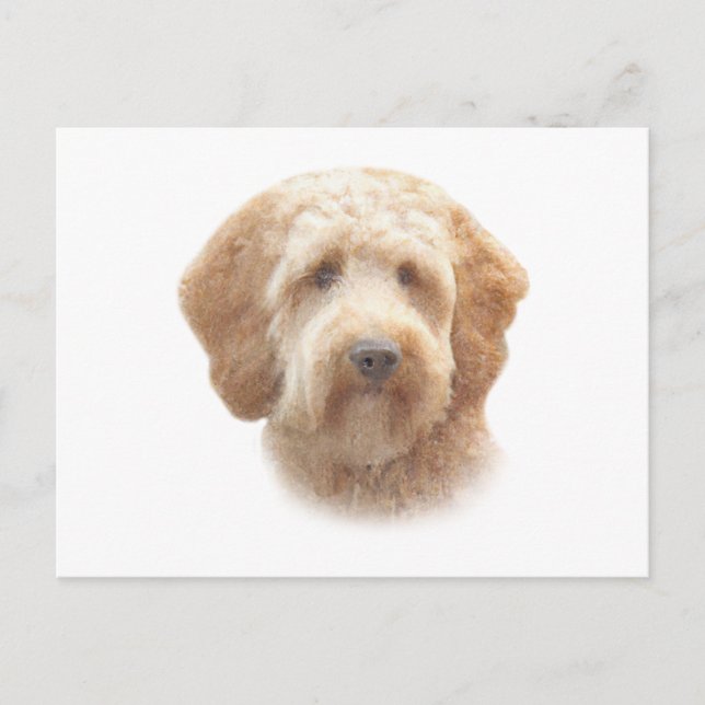 Cartão Postal Watercolor Goldendoodle (Frente)