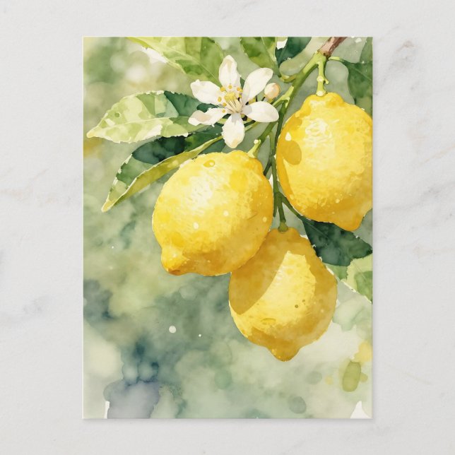 Cartão Postal Watercolor Lemon Branch Botanical Summer (Frente)
