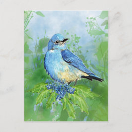 Cartão Postal Watercolor Mountain Bluebird Blue Bird Art para