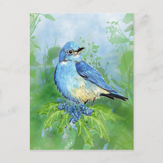 Cartão Postal Watercolor Mountain Bluebird Blue Bird Art para (Frente)