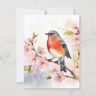 Cartão Postal Watercolor Robin no Ramal do Flor de Cereja da Pri