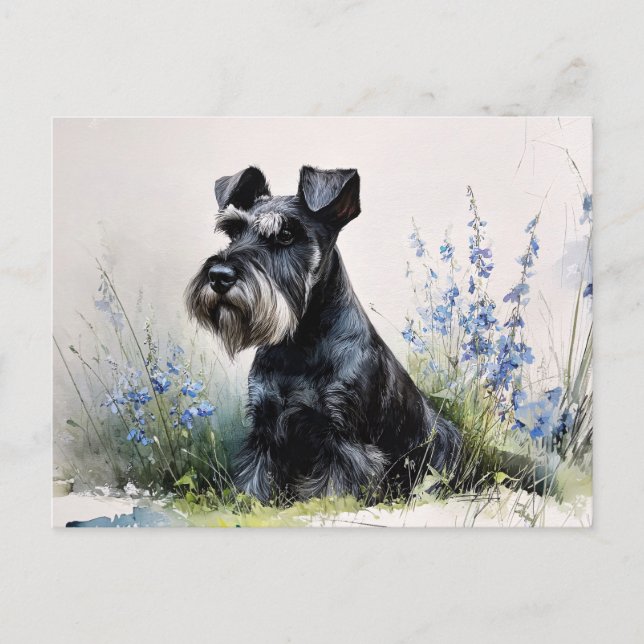 Cartão Postal Watercolor Schnauzer (Frente)