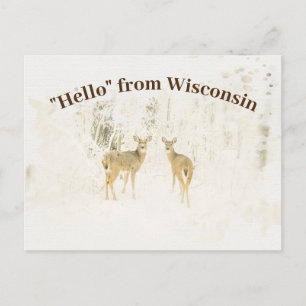 Cartão Postal Watercolor Welcome to Wisconsin White Tailed Deer