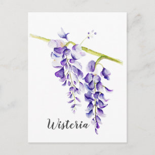 Cartão Postal Watercolor Wisteria Botanical