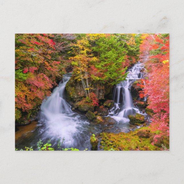 Cartão Postal Waterfalls | Faucet Waterfalls Nikko Japan Fall (Frente)