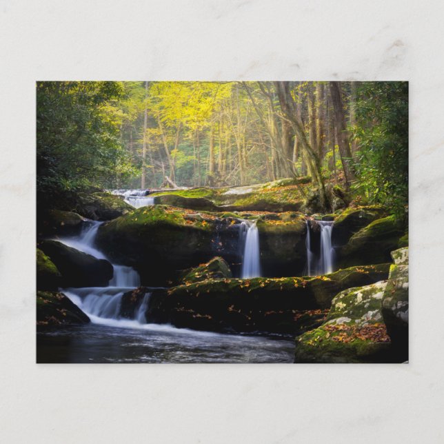 Cartão Postal Waterfalls | Great Smoky Mountain National Park (Frente)
