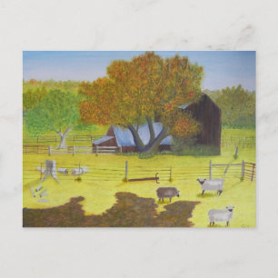 Cartão Postal Waterford Barn & Sheep
