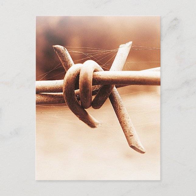 Cartão Postal Web Barbwire e aranha na Sepia (Frente)