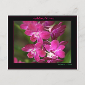 Cartão Postal Wedding um