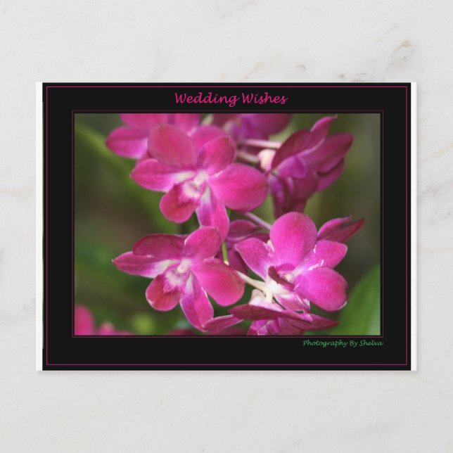 Cartão Postal Wedding um (Frente)