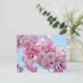 Cartão Postal Weeping Cherry: Yae-benishidare