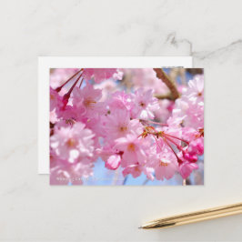 Cartão Postal Weeping Cherry: Yae-benishidare