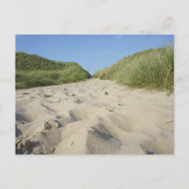 Cartão Postal Weg zum Strand durch Strandhafer