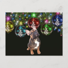 Cartão Postal Weihnachtskarte französische Bulldoggen Christmas 
