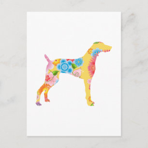 Cartão Postal Weimaraner