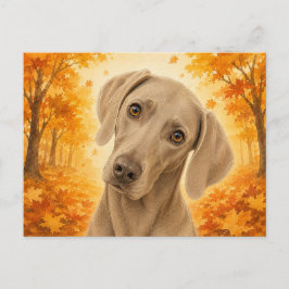 Cartão Postal Weimaraner Autumn Forest Dog