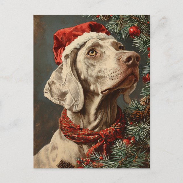 Cartão Postal Weimaraner Christmas (Frente)