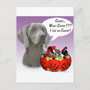 Cartão Postal Weimaraner Halloween Candy