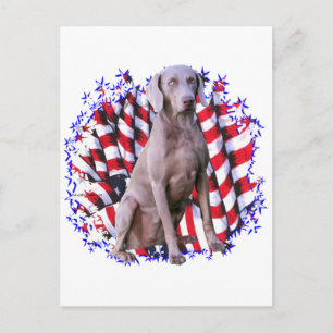 Cartão Postal Weimaraner Patriot