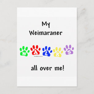 Cartão Postal Weimaraner Walks