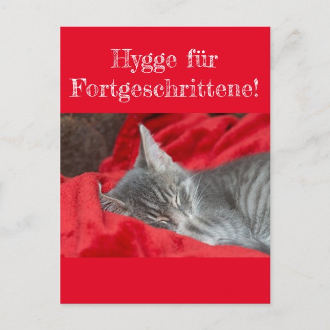 Cartão Postal Weisheiten&Humor Hygge ..! Katze schläft auf rot (Frente)
