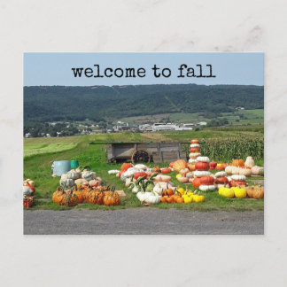 Cartão Postal welcome to fall pumpkin farm post card