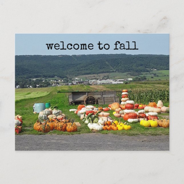Cartão Postal welcome to fall pumpkin farm post card (Frente)