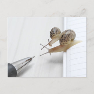 Cartão Postal We'll help you study