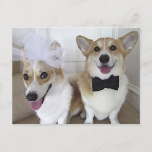 CARTÃO POSTAL WELSH CORGI BRIDE AND GROOM