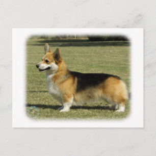 Cartão Postal Welsh Corgi (Pembroke)