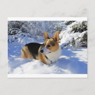 Cartão Postal Welsh Corgi Snow Day
