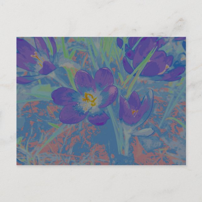 Cartão Postal Wenn der Krokus blüht (Frente)