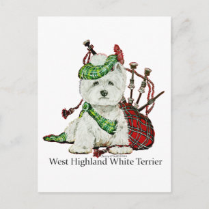 Cartão Postal West Highland Terrier